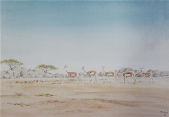 Two watercolours; town scene and gazelles